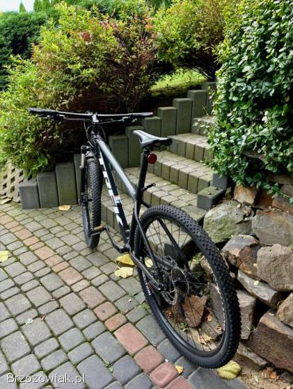 Rower Trek Marlin 5 29”