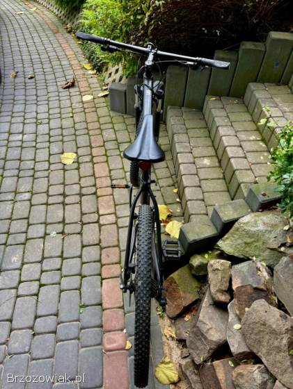 Rower Trek Marlin 5 29”