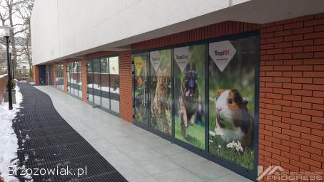Atrakcyjne lokale do wynajęcia – Galeria Brzozów.