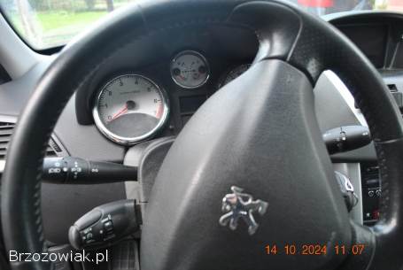 Peugeot 207 SW 2011