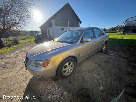 Hyundai Sonata V NF 2007