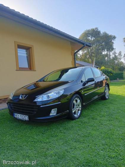 Peugeot 407 Elegance 2007