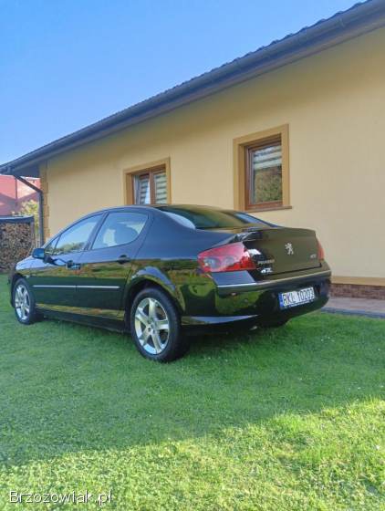 Peugeot 407 Elegance 2007