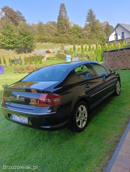 Peugeot 407 Elegance 2007