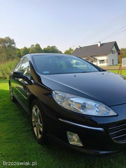 Peugeot 407 Elegance 2007