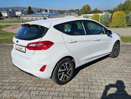 Ford Fiesta 100KM SUPER STAN 2018