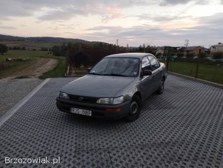 Toyota Corolla Sedan 1996