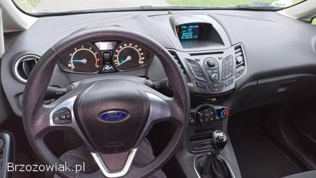 Ford Fiesta 1,  25 16V 82KM Li 2014