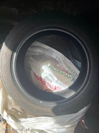 Opony Zimowe 225/45 R17