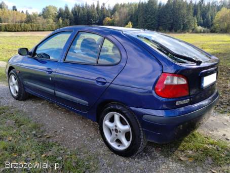 Renault Megane 1.  9DTI.  Bez rdzy.   2002