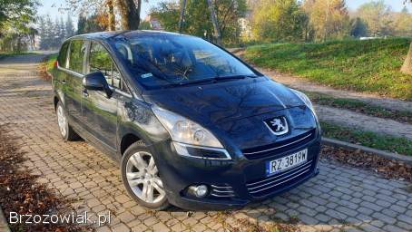 Peugeot 5008 2010