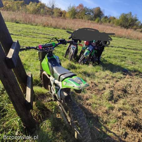 Kawasaki Kx80 1998