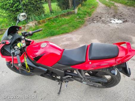 Kymco Quannon 125 2008