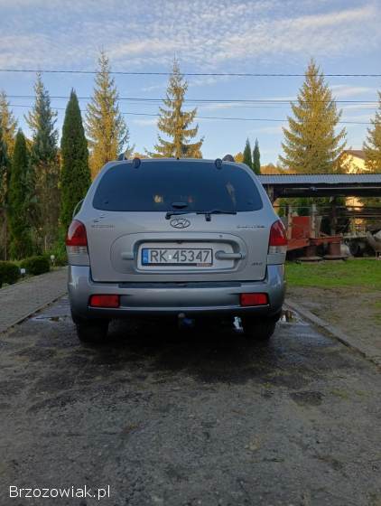 Hyundai Santa Fe 4x4 2006