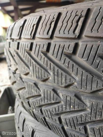 Vredestein Wintrac 4 extreme 235/55/R19