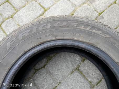 Opony zimowe Dębica Frigo HP2 195/65 R15