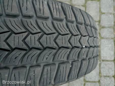 Opony zimowe Dębica Frigo HP2 195/65 R15