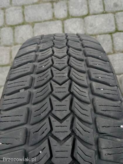 Opony zimowe Dębica Frigo HP2 195/65 R15