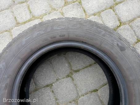 Opony zimowe Dębica Frigo HP2 195/65 R15