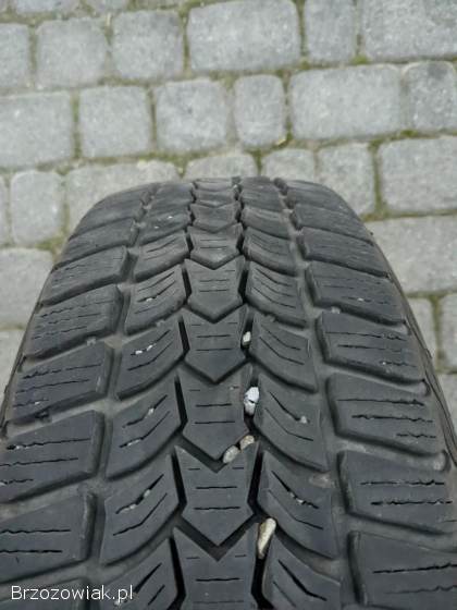 Opony zimowe Dębica Frigo HP2 195/65 R15