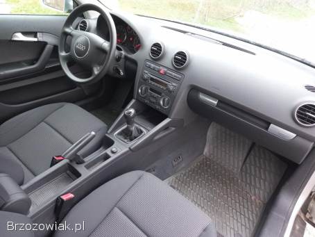 Audi A3 Benzyna 1.  6 8V 2003