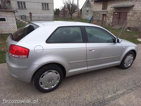 Audi A3 Benzyna 1.  6 8V 2003