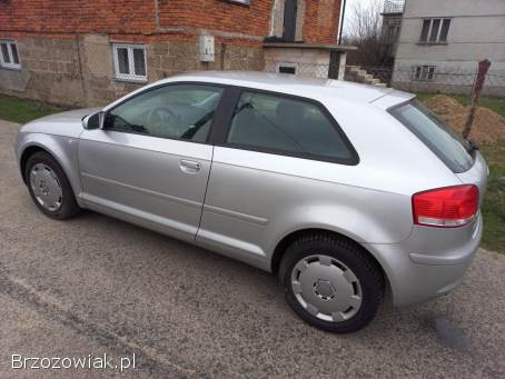 Audi A3 Benzyna 1.  6 8V 2003