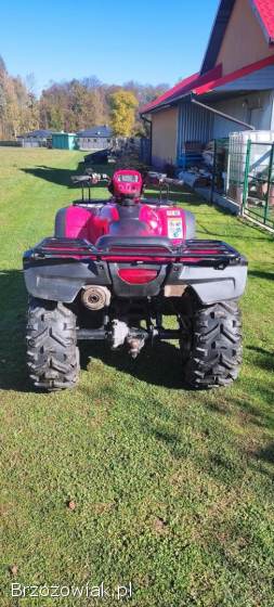 Quad Honda