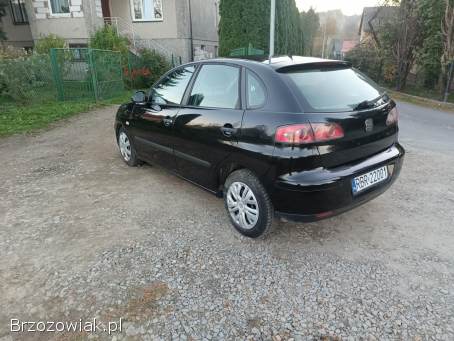 Seat Ibiza 2005