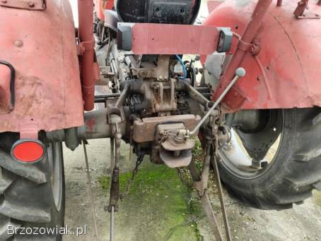 Sprzedam Massey Ferguson MF130 1967