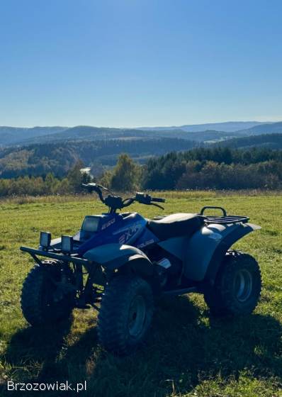 Quad Polaris 250 ccm ATV