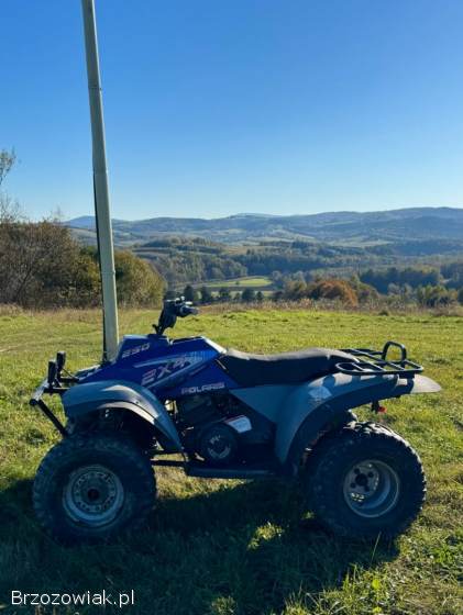 Quad Polaris 250 ccm ATV