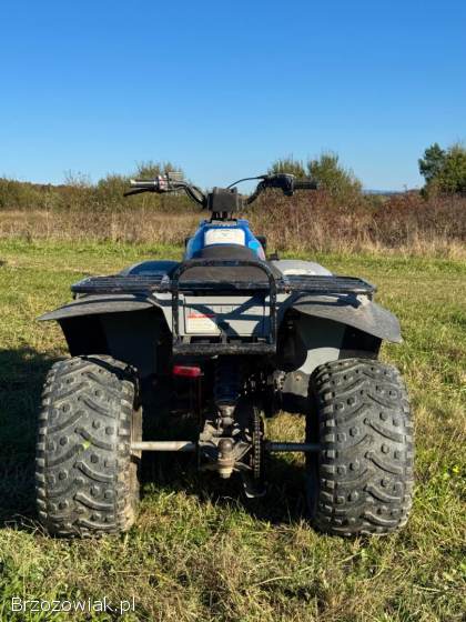 Quad Polaris 250 ccm ATV