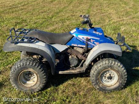 Quad Polaris 250 ccm ATV