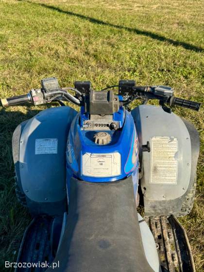 Quad Polaris 250 ccm ATV