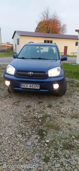 Toyota RAV4 II 2.  0 B+LPG 2004