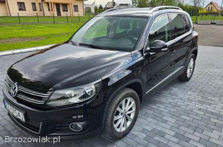 Volkswagen Tiguan BLUEMOTION 2013