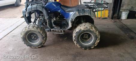 Quad atv 200