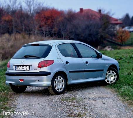 Peugeot 206 2004