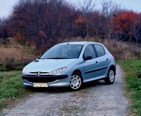 Peugeot 206 2004