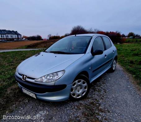 Peugeot 206 2004