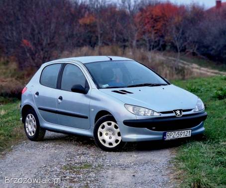 Peugeot 206 2004