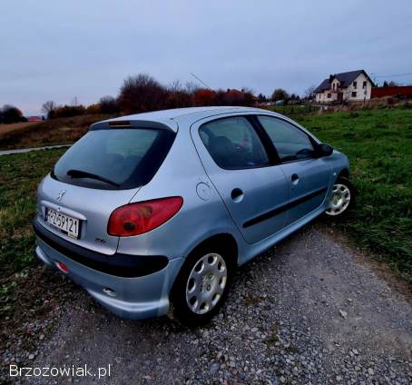 Peugeot 206 2004