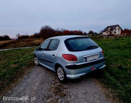 Peugeot 206 2004