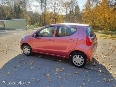 Suzuki Alto 2009