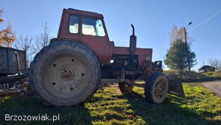 Sprzedam MTZ 82 z pługiem leśnym