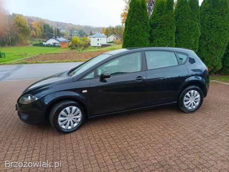 Seat Leon 1.  6B 102 KM 2008