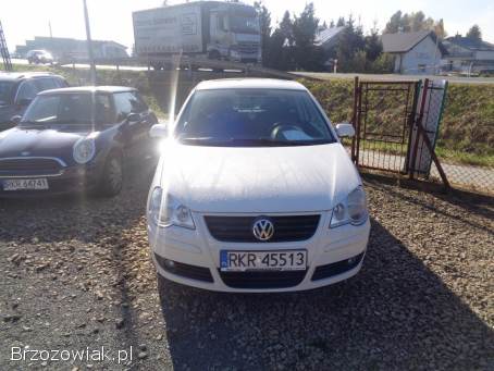 Volkswagen Polo 2007