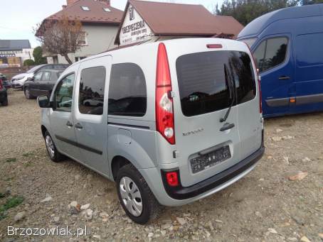 Renault Kangoo 2009