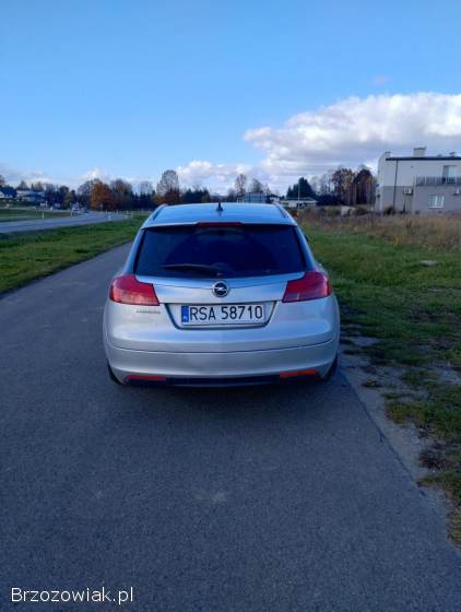 Opel Insignia Sports Tourer 2010